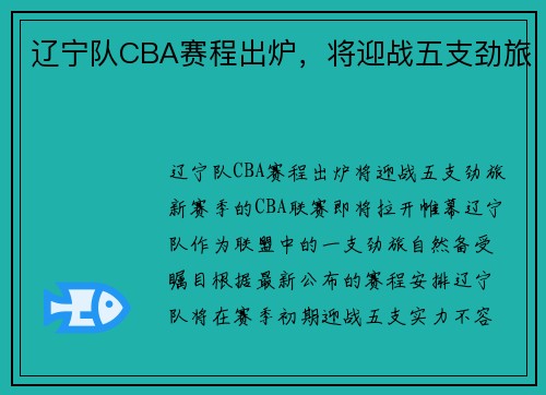 辽宁队CBA赛程出炉，将迎战五支劲旅